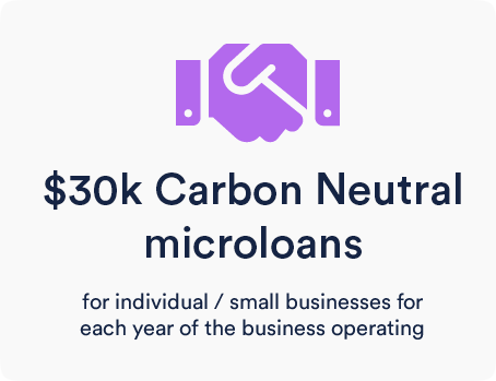 30k in micro loans